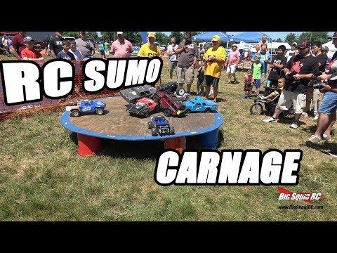 RC CAR AND TRUCK SUMO Demo Derby!